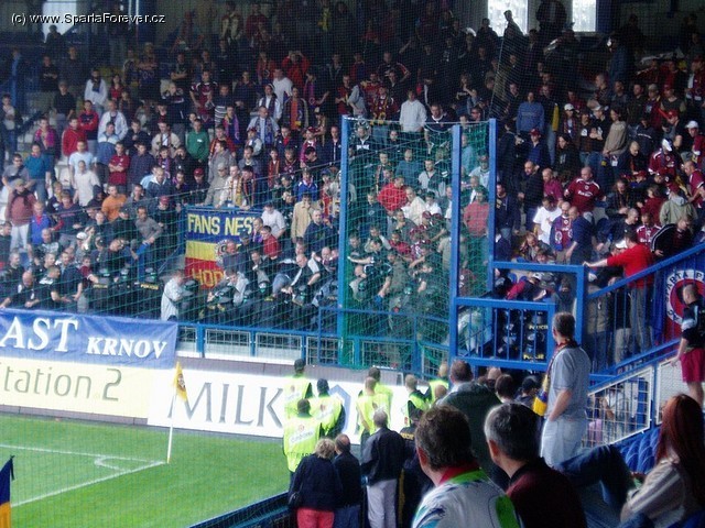 letna1.jpg